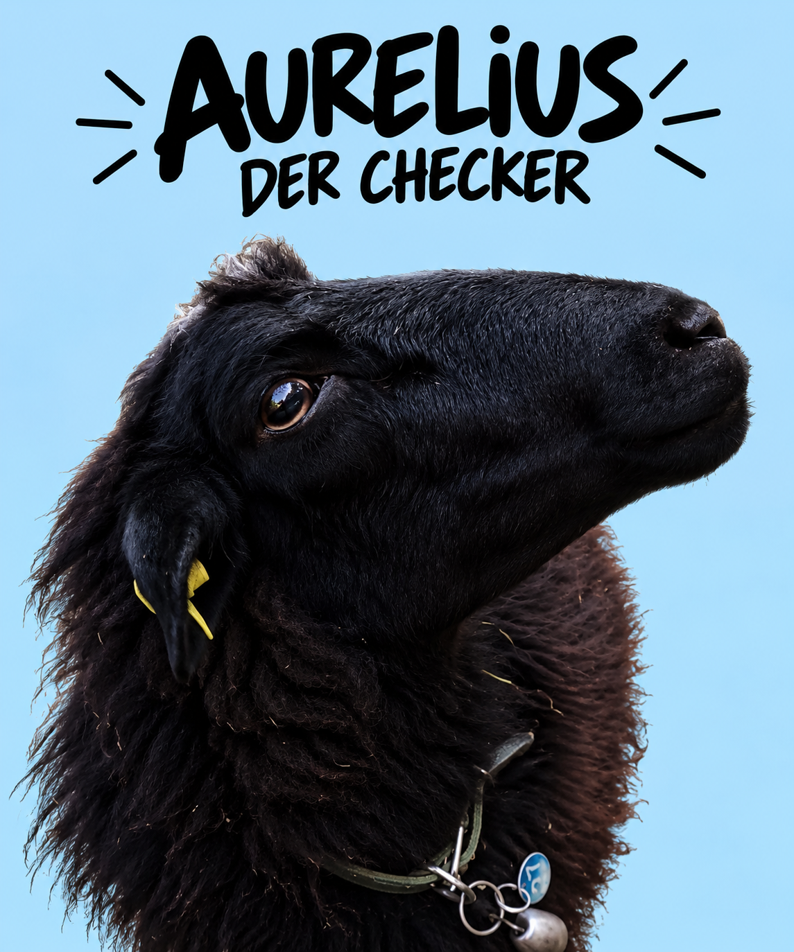 Aurelius – der Checker