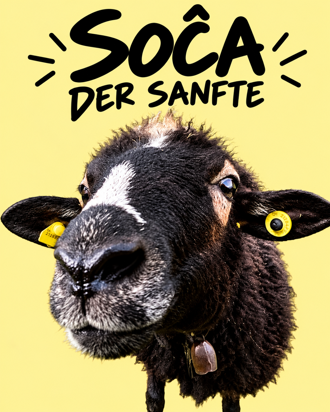 Soča – der Sanfte