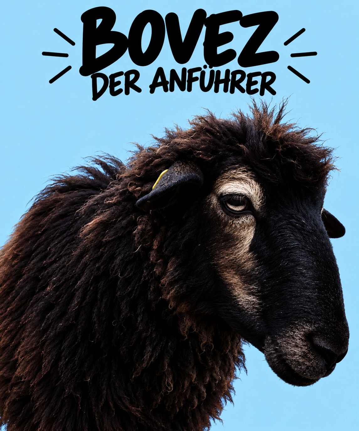 Bovez – der Anführer