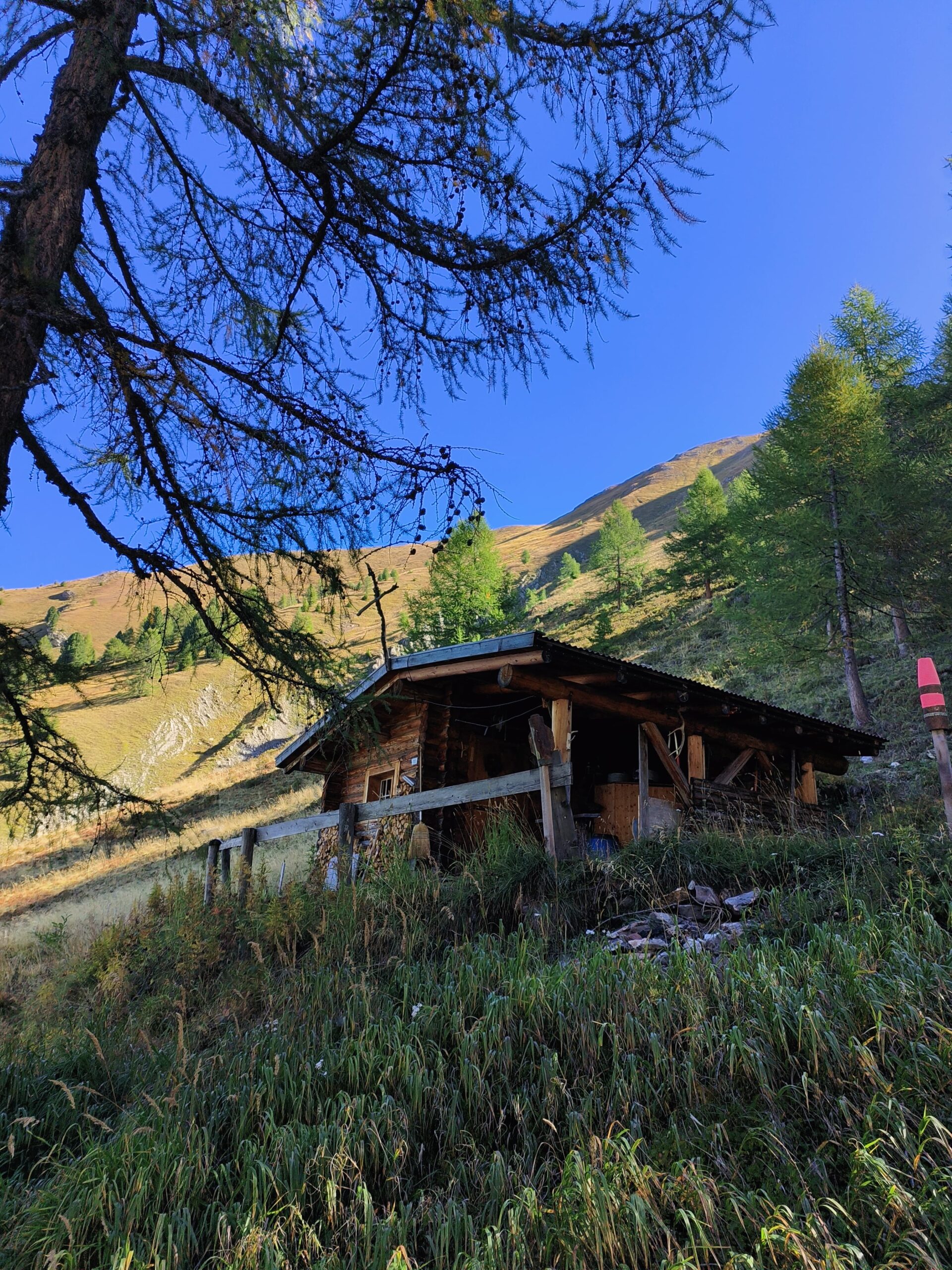 Zeit mit unseren Schafen